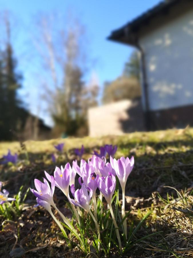 Haus Zur Lachenden Lieselotte I 5 Minuten Zu Fuss Zum Kostenlosen Naturbad I Messenaehe I Waldnaehe Βίλα Postbauer-Heng Εξωτερικό φωτογραφία