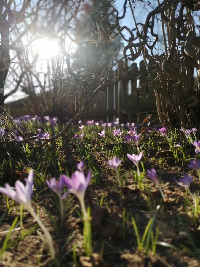 Haus Zur Lachenden Lieselotte I 5 Minuten Zu Fuss Zum Kostenlosen Naturbad I Messenaehe I Waldnaehe Βίλα Postbauer-Heng Εξωτερικό φωτογραφία